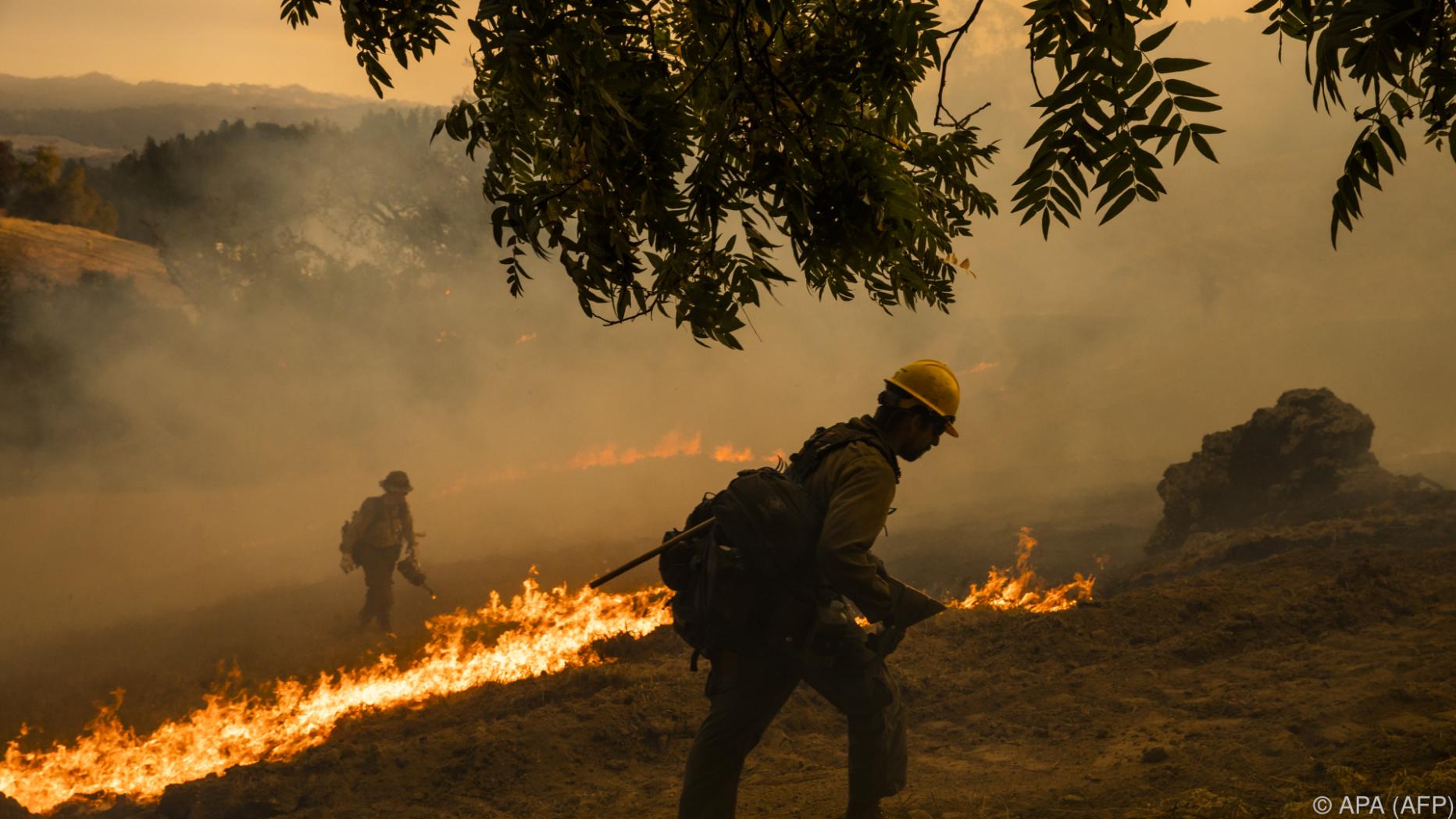 Wieder Zehntausende vor Waldbränden in Kalifornien geflohen