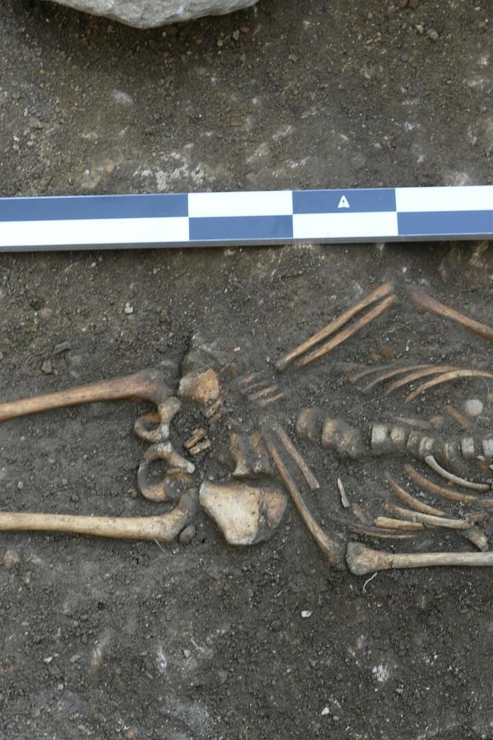 Skelett eines bei Ausgrabungen entdeckten Kindes aus einer frühmittelalterlichen Siedlung im Jauntal