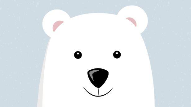 10 Fakten über den Eisbären – König der Arktis