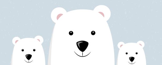 10 Fakten über den Eisbären – König der Arktis