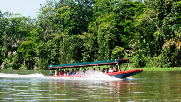 Die Erkundung des Regenwaldgebietes ist nur per Boot möglich