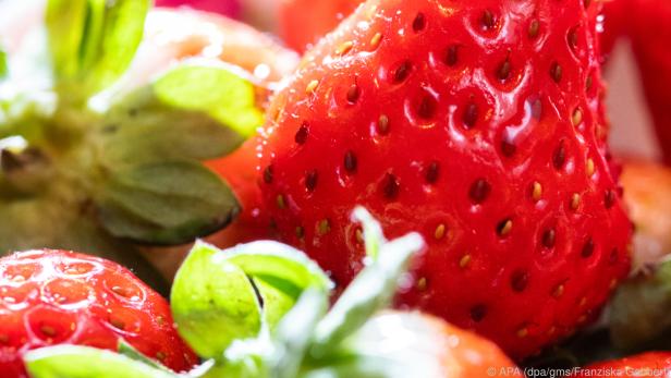 Erdbeeren lassen sich in der Küche vielseitig einsetzen