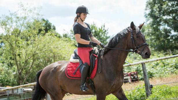 Rauf aufs Pferd: Reiten trainiert den Rücken auf vielfältige Weise