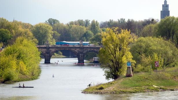Wassersportler in Madgeburg: Die Elbe hat viel zu bieten