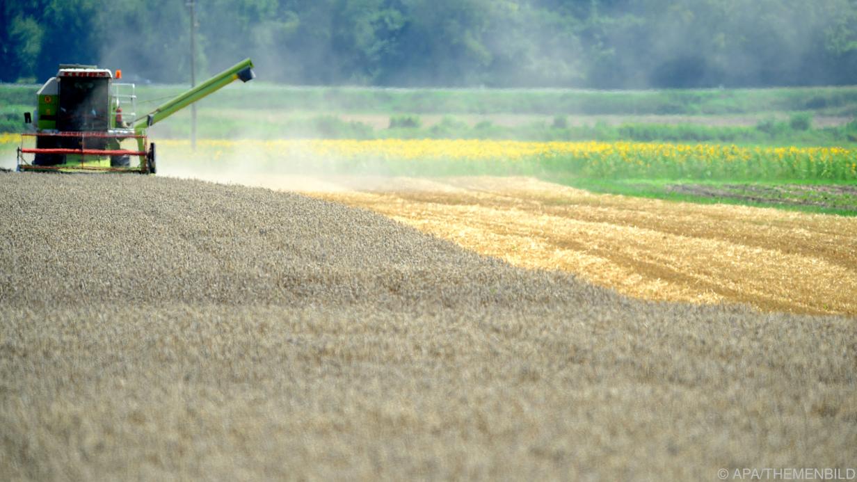 Österreicher haben hohe Meinung von Landwirtschaft