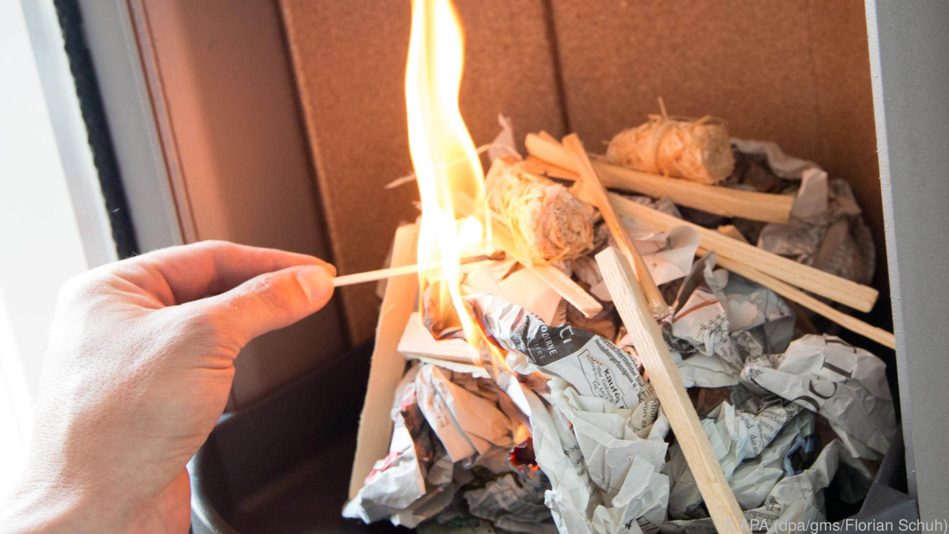 Das richtige Holz für den Kamin finden