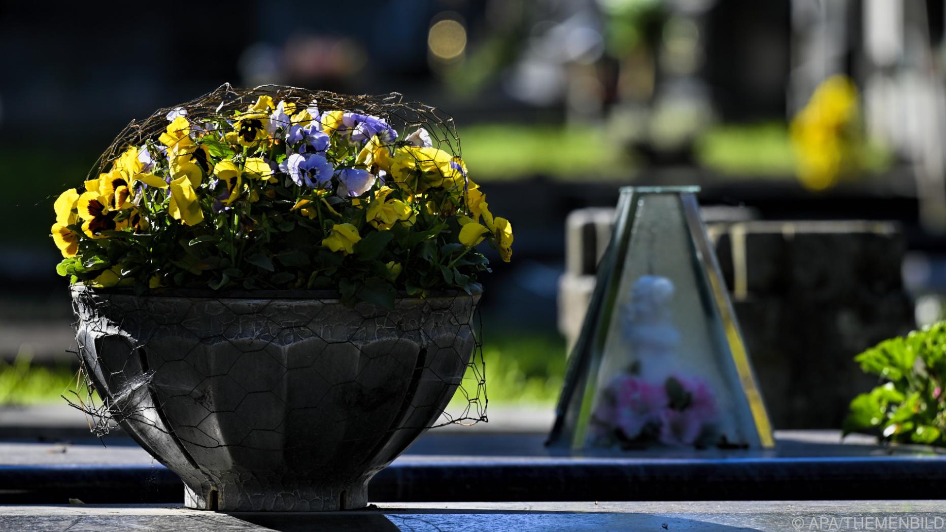 Zentralfriedhof bietet &amp;quot;lebenden&amp;quot; Sarg aus Pilzen