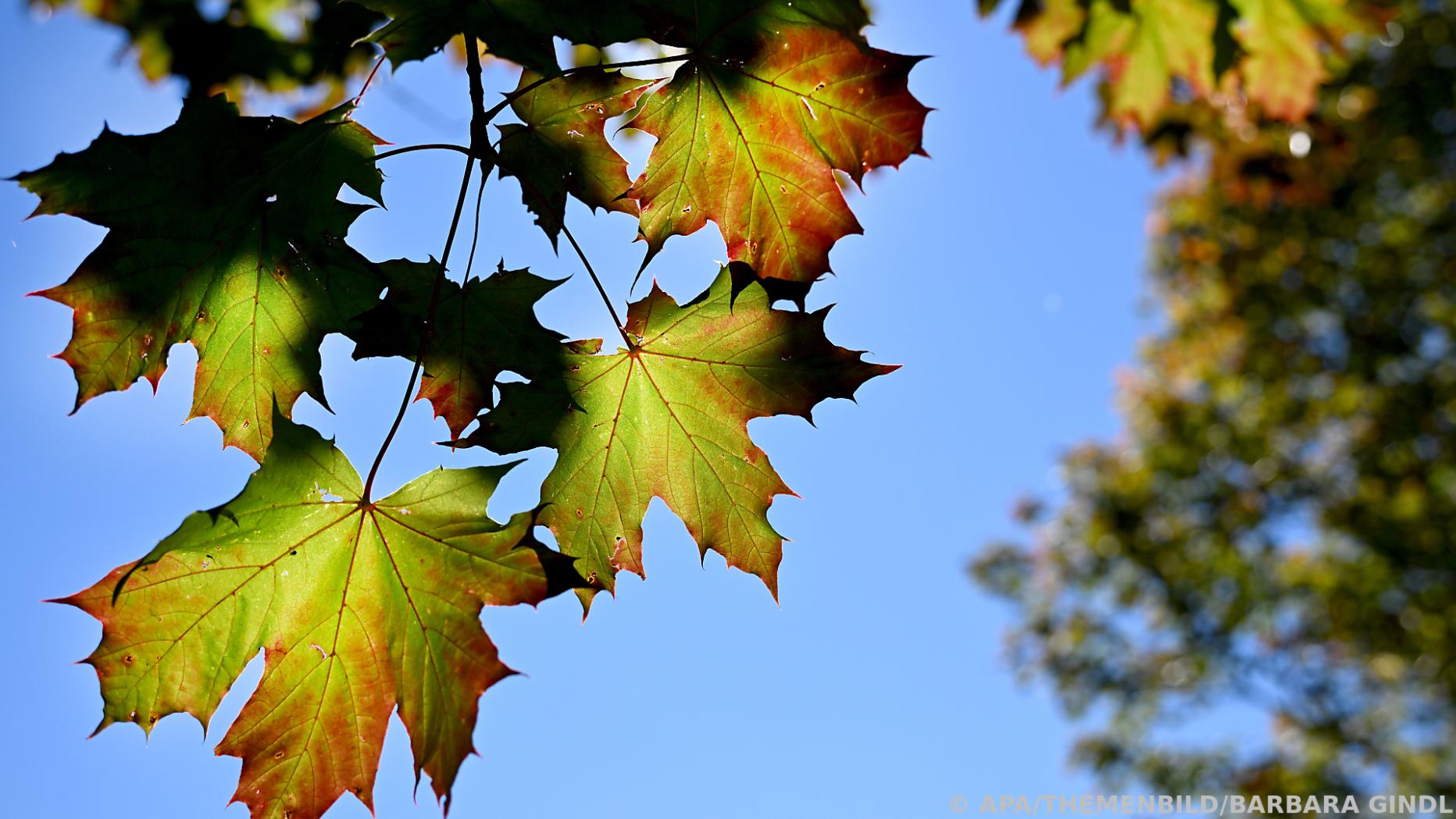 Herbst 2022 war einer der wärmsten der Messgeschichte