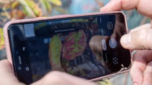 Google positioniert seine neue Generation vor allem als Spitzenkamera