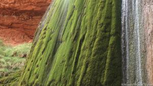 Kontrast der Farben: die Ribbon Falls und das rote Gestein des Canyons