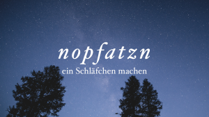nopfatzn.png