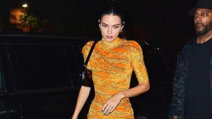 Kendall Jenner wird kritisiert, weil ihr Hund ein Stachelhalsband trägt