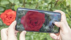 Der Dreifachzoom des OnePlus 7 Pro hilft bei formatfüllenden Aufnahmen