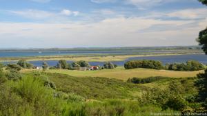 Viel Natur für Erholungssuchende: Auf Hiddensee geht es entspannt zu