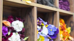 Essbare Blüten sollen nach dem Pflücken keiner Zugluft ausgesetzt werden