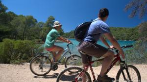 Aktiv unterwegs: Radfahrer im Nationalpark auf der kroatischen Insel Mljet