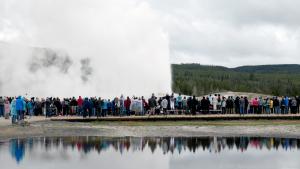 Der Geysir Old Faithful ist die wohl bekannteste Attraktion im Yellowstone