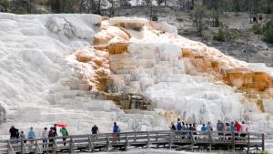 Über die Sinterterrassen von Mammoth Hot Springs fließt heißes Wasser