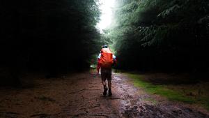 Was mit deinem Körper beim Wandern passiert