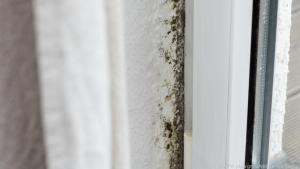 Schimmel an der Wand: Die Feuchtigkeit kann auch aus dem Mauerwerk kommen