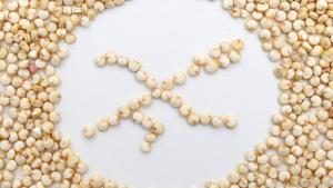 Manchmal wird glutenhaltiger Weizen durch Pseudo-Getreide wie Quinoa ersetzt