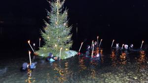 In Schärding geht der Christbaum im eiskalten Inn baden