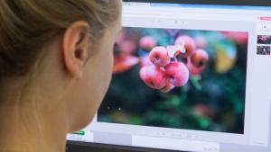 Bilder im Browser bearbeiten: Mehrere kostenlose Anwendungen bieten das