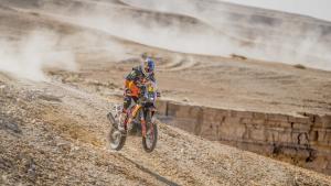Walkner ist gesund im Ziel: Rang fünf bei der Rallye Dakar