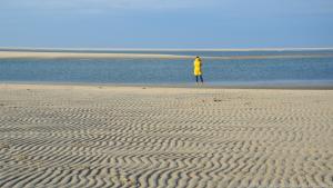 Strandwandern und Muscheln suchen kann man auf Borkum besonders gut im Winter
