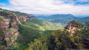 Die Blue Mountains gehörten zu den Regionen, in denen die Feuer wüteten
