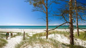 Der Weststrand auf Fischland-Darß-Zingst ist einer der schönste Strände Europas