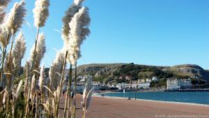 Blick über die Strandpromenade auf viktorianische Häuser im Seebad Llandudno