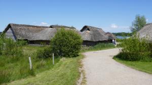 Rekonstruierte Reetdach-Häuser im Wikinger Museum Haithabu