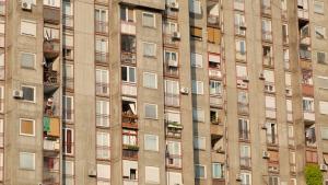 simon_barbach_novi_beograd.jpg
