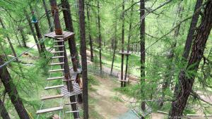 Den Wald auf andere Art erleben: Hochseilgarten Larix Park