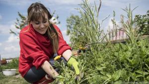 Naturnahes Gärtnern der Umwelt zuliebe kostet Überwindung