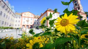 Die Blumeninsel Mainau im Bodensee lockt Besucher an