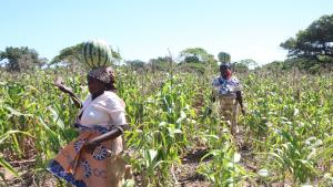 Diese Bäuerinnen leben in direkter Nachbarschaft zum Reserva Especial de Maputo