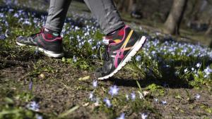 Da wo Asphalt- und Betonwege enden, beginnt das Trail-Running