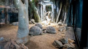 Blick in das Gehege der Riesenschildkröten