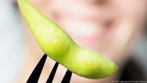 Junge Sojabohnen, Edamame genannt, lassen sich schnell als Snack zubereiten