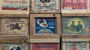 Wie diese Holzkisten zeigen, hat der Cranberry-Anbau eine lange Geschichte