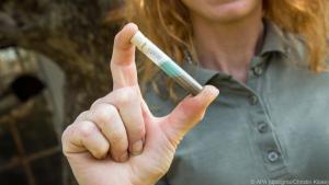 Den pH-Wert des Bodens kann man mit Hilfe einer Bodenprobe analysieren