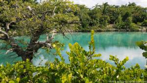 Cenotes heißen die mit Süßwasser gefüllten Kalksteinlöcher