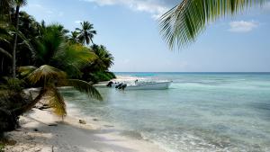 Palmen, weißer Sand, klares Wasser: Die Insel Saona erfüllt Karibiksehnsüchte