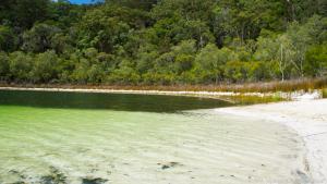 Über das klare Wasser des fast kreisrunden Basin Lake schwirren Libellen