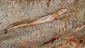 Diese Felsmalerei im Nationalpark Arikok zeigt eine Karibische Mönchsrobbe