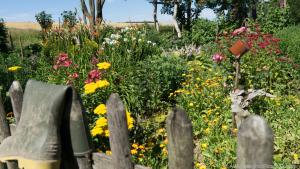 Wer nicht allzu viel Arbeit im Garten möchte, der setzt auf wildwachende Blumen