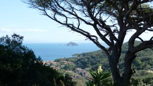 Über Cavo blickt man auf die winzige Isola dei Topi