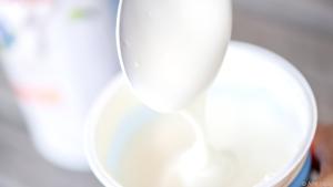 Viele Lebensmittel enthalten von Natur aus Probiotika